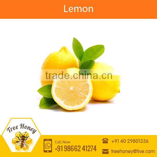 Tangy Fresh Indian Farm Lemon at Attractive Price