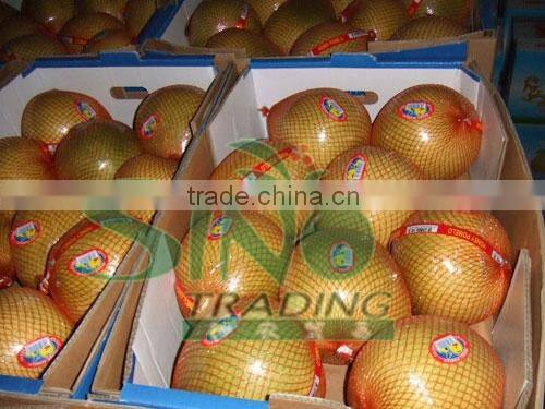 fresh pomelo