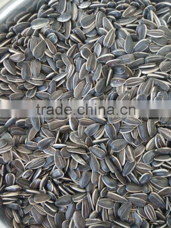 chinese fresh sunflower seed 5009 hot sale