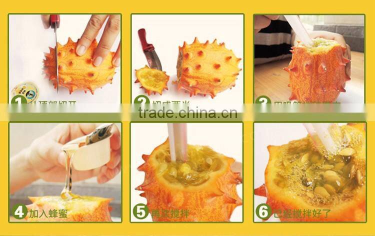 Kewana seeds Jelly Melon Seeds The horned Melon For Growing