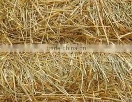 wood charcoal carbonization furnace oak natural wood charcoal