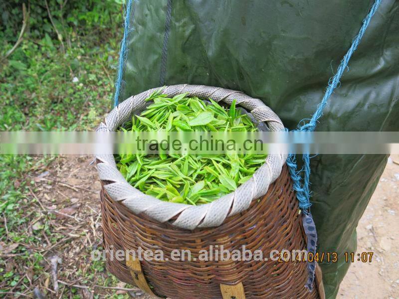 green tea powder, green tea fanning, green tea dust
