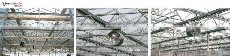 DJF(g) series Hot Air Circulation Fans for greenhouse with CE