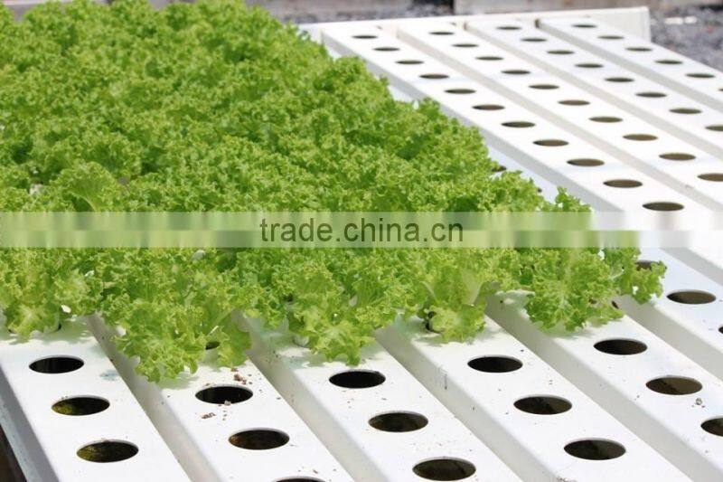 PVC Hydroponic Channels 100mmx50mm for greenhouse