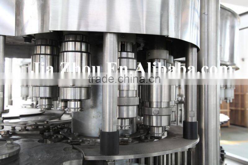 Small bottle industrial water filling plant