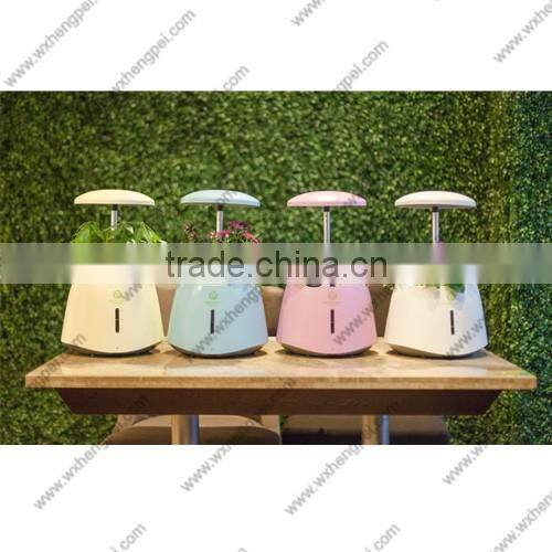 Mini hydroponic smart garden