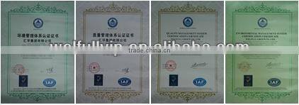 Water proof resistance 3000mm camping tent