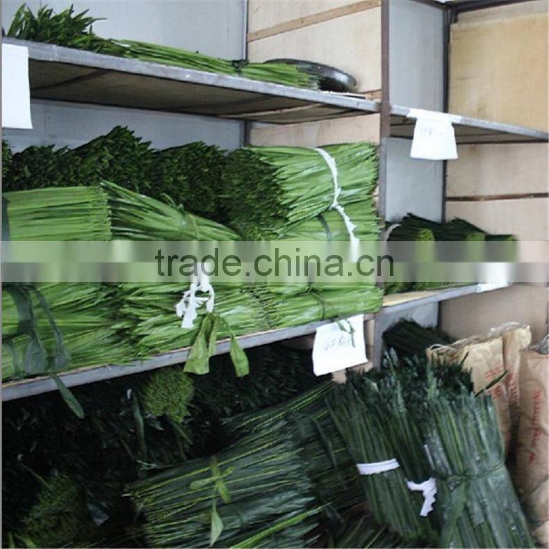 SJZJN 111 Big Amazing Balm Tree Leaves/High Imitation palm Tree Leaves Made in China Hot Sale