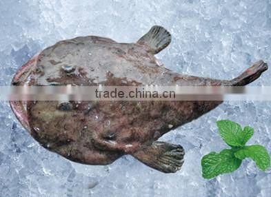 Whole Round Frozen Monkfish Prices
