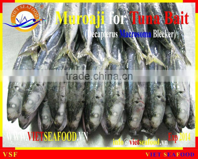 MUROAJI FOR TUNA BAIT FROZEN
