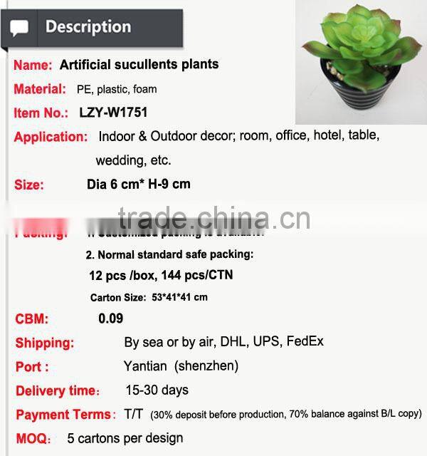 Wholesale artificial plants mini succulents for indoor decoration