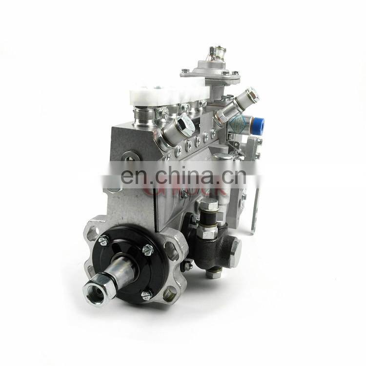 Genuine NANYUE diesel fuel injection pump B6AD548 13030186 13053063