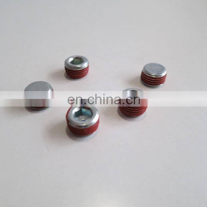 Small plug pipe diesel engine parts kta19 pipe plug 3002158 pipe thread plug