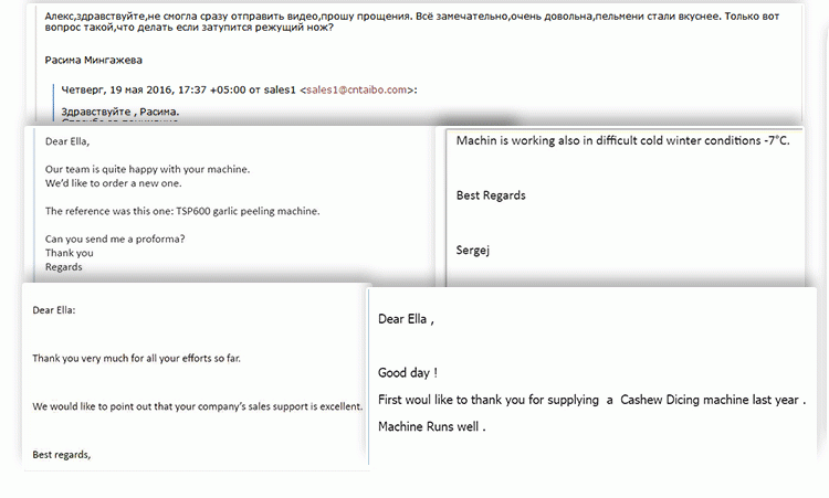 Industrial Electric Fruit and Vegetable Cutter Mahine