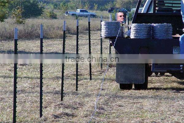 Painted steel standard Australian Y post