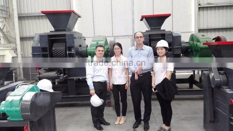 Coconut Charcoal Briquette Machine Coconut Shell Charcoal Ball Press Machine