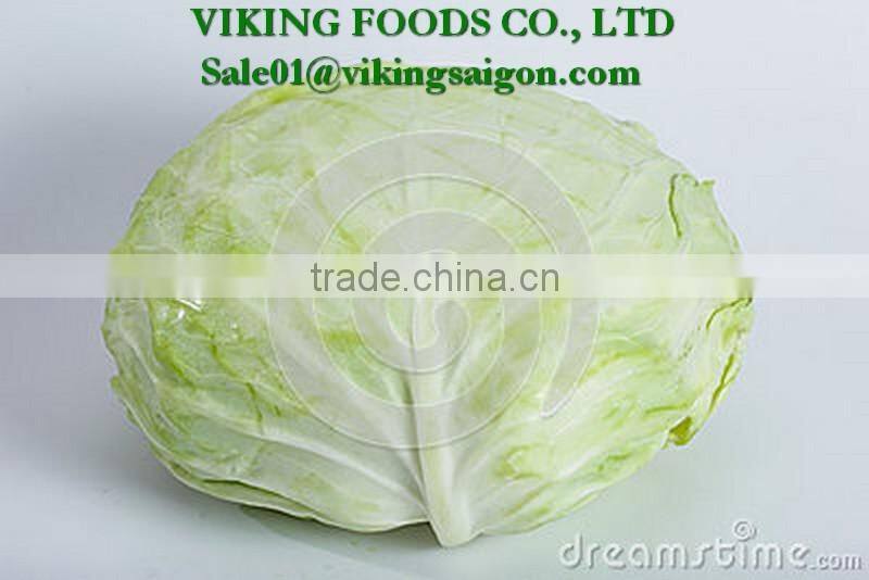 *2016 _ Fresh Green Cabbage _ Good Quality*