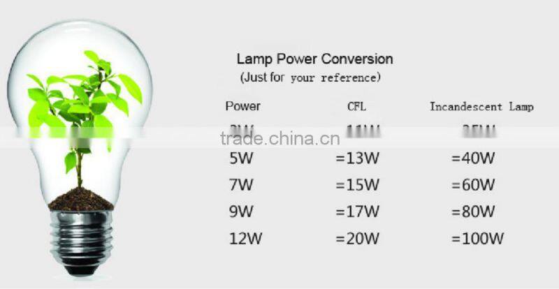 Indoor Decorative screw-on E27 LED Bulbs in Zhongshan Factory