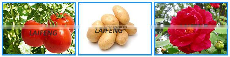 High purity MGSO4 7H2O magnesium sulphate fertilizer