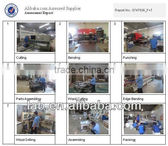 Fume Cupboard Furniture Medical Laboratory Equipment