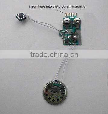 Programmable/recording /pre-recording module/USB modules/motion sensor module/cheap sound module for cards