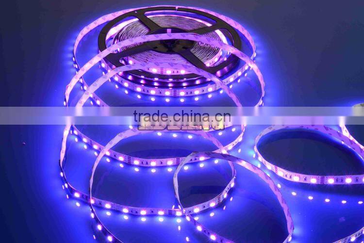 SMD 5050 14.4w/m 24v led rope light