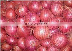 onion garlic fruits vegetable