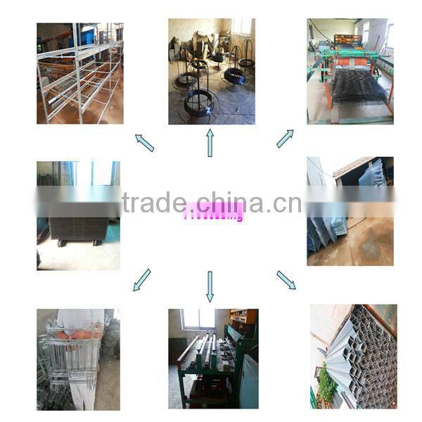 galvanized material welded wire mesh cage for quail