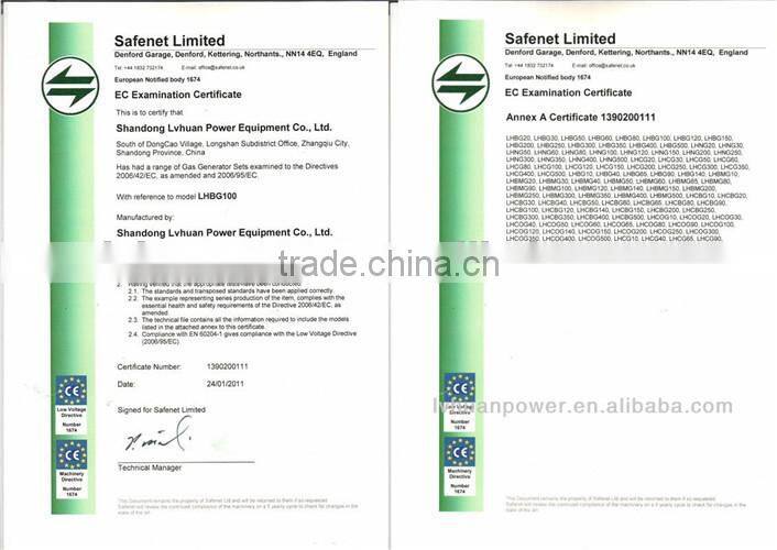 coal gasifier generating electricity 300kw gas genset