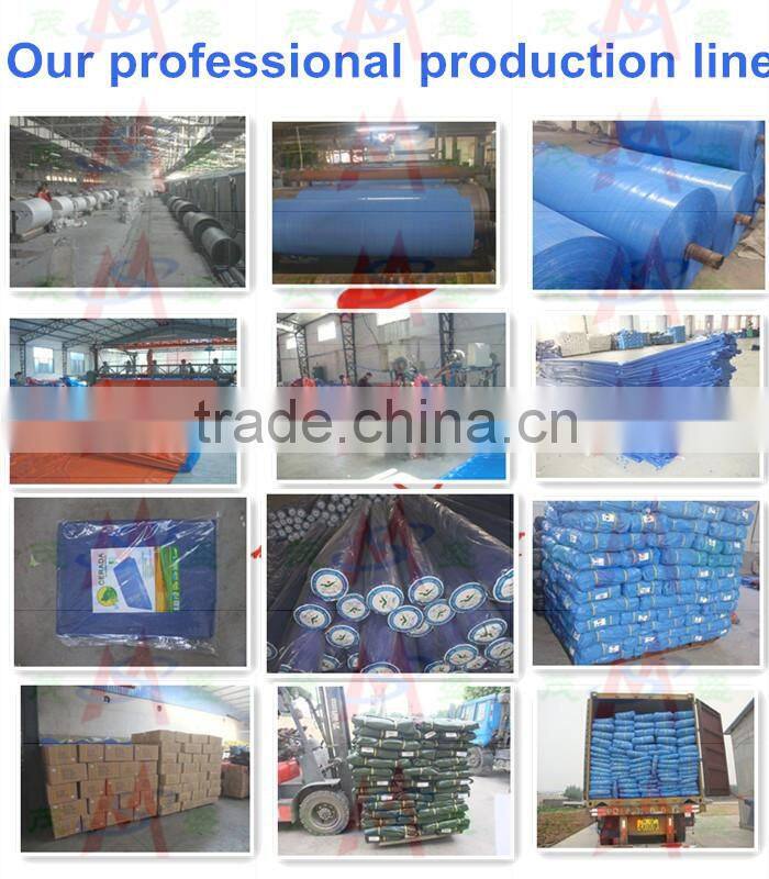 Ractical waterproof protective pe tarpaulin supplier / tarpaulin price per meter / pe Tarp