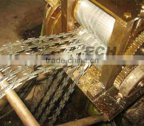 ECH galvanized razor barbed wire