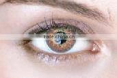 NEO VISION KOREA 14.2 mm colored eye contact lenses