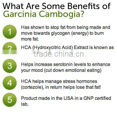 Organic Garcinia Capsules (Used As Slimming Aid) Bulk Exporters