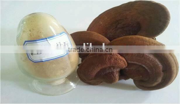 High Quality herbal Pulverizer Machine