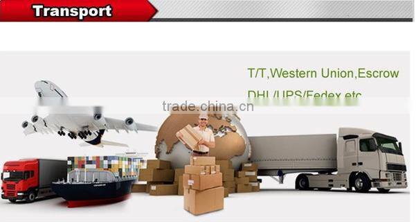 Bluetooth and LED light self balancing electric smart scooter self balance 2 wheel chrome hover board