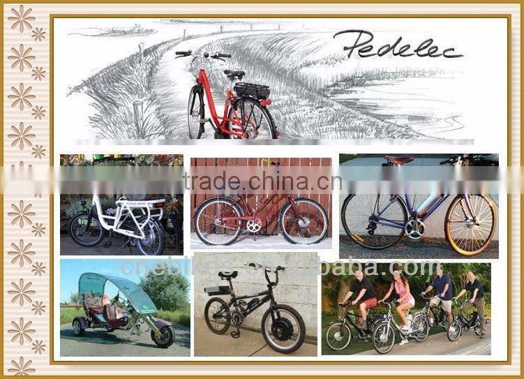DIY electric bicycle conversion kit with wheel hub motor 250w-1000w