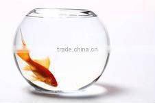 mini clear acrylic plastic fishbowl