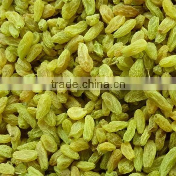 Pure sultana raisins seedless raisin