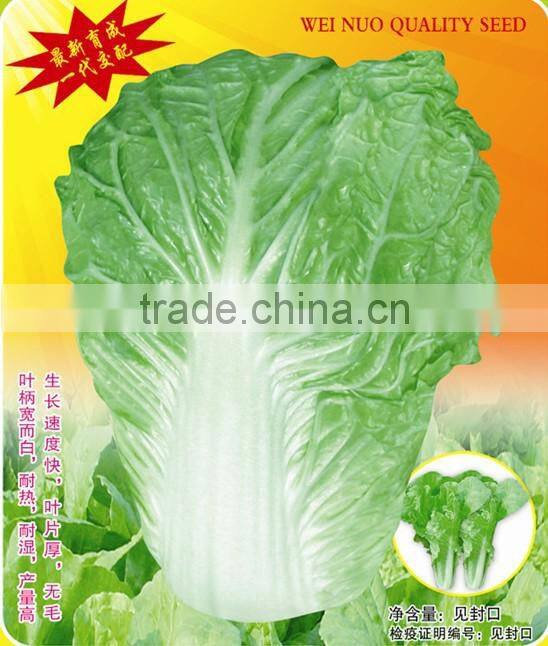 CC04 SJ No.5 early ripe Chinese cabbage seed, hybrid Chinese cabbage seeds