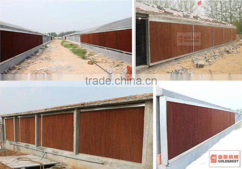 Goldenest Air cooling water curtain for poultry farm greenhouse evaporative honey pad for cooler JC12-CO06