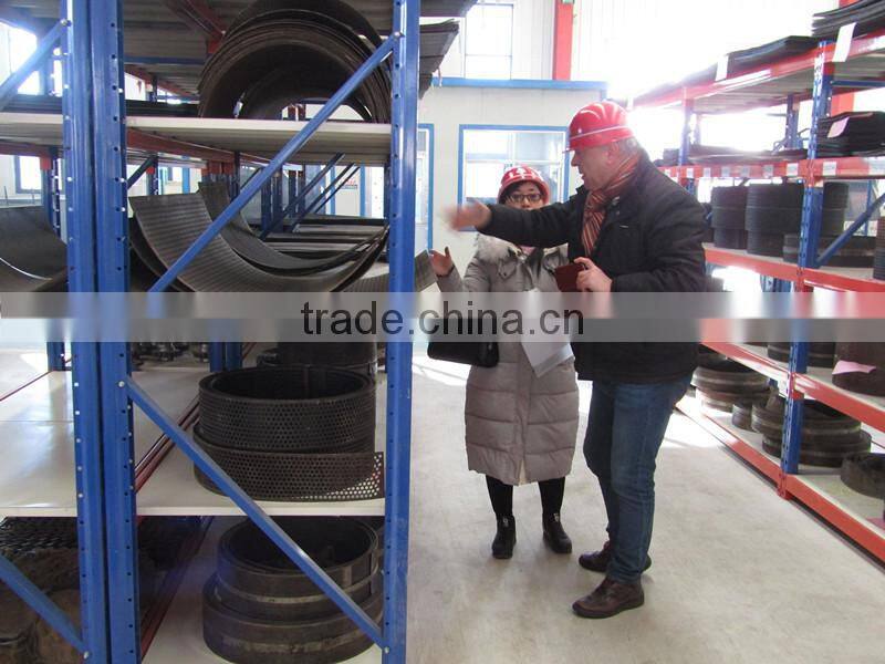 High Effective Feed Single Shaft Double Screw Mixer