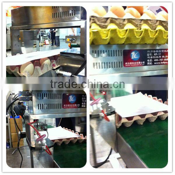 Hot Sale Automatic 1-8 lines date / code / number / logo Egg Printer