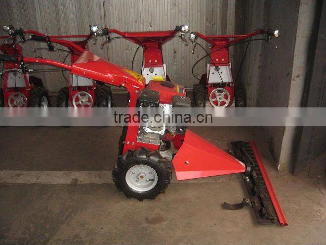 Gasoline Lawn Mower with 6.5HP Engine