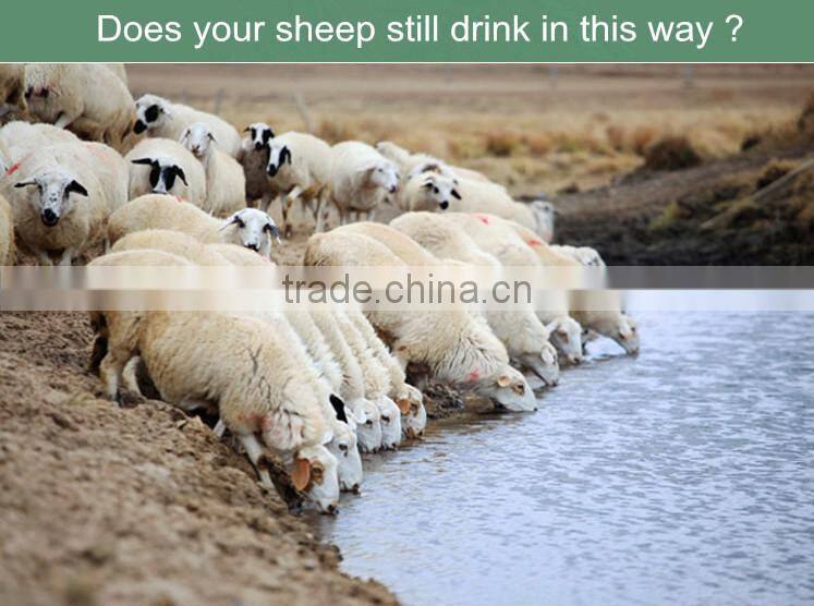 Agricultural Equipment Plastic Sheep Water Bowl