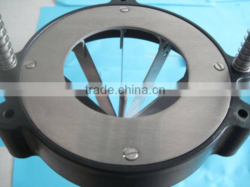 GRT - HLB8 Tomato slicer machine