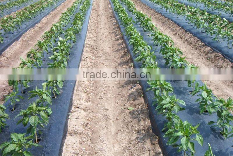 black or white plastic mulch film