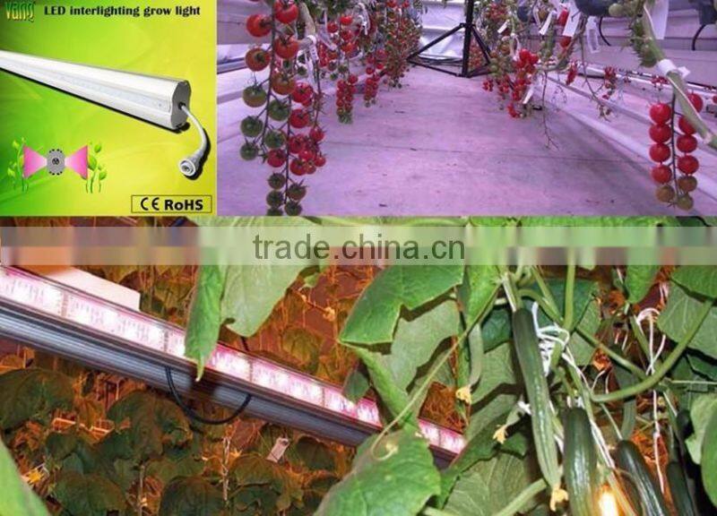 2017 top led strip 150w plan light grow home hydroponic veg