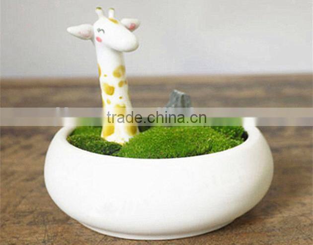 Home design bowl shape narcissus plastic flower pots