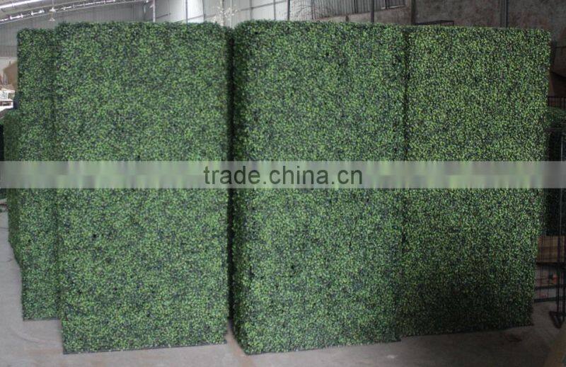 2017 hot sale ornamental plants artificial boxwood hedge hot sale artificial green wall
