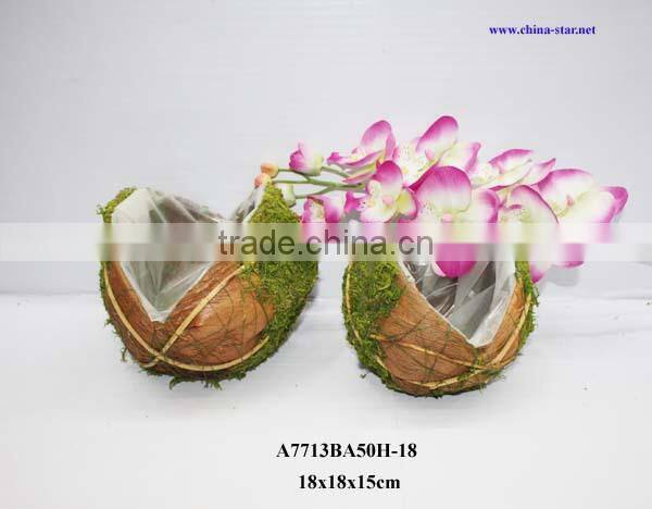 round coco planters with moss